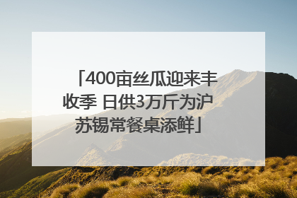 400亩丝瓜迎来丰收季 日供3万斤为沪苏锡常餐桌添鲜