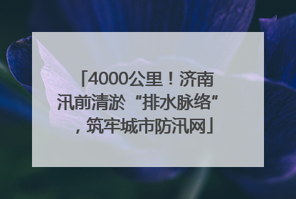 4000公里！济南汛前清淤“排水脉络”，筑牢城市防汛网