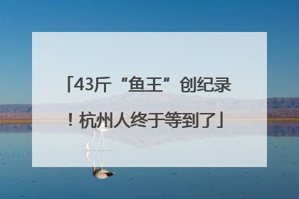 43斤“鱼王”创纪录！杭州人终于等到了