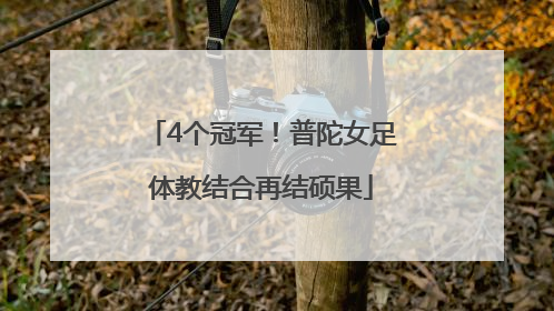 4个冠军！普陀女足体教结合再结硕果
