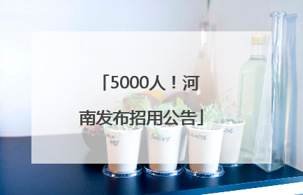 5000人！河南发布招用公告