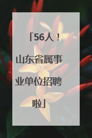 56人！山东省属事业单位招聘啦