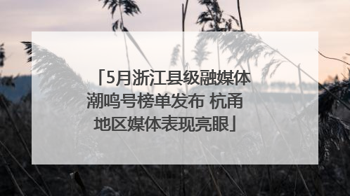 5月浙江县级融媒体潮鸣号榜单发布 杭甬地区媒体表现亮眼