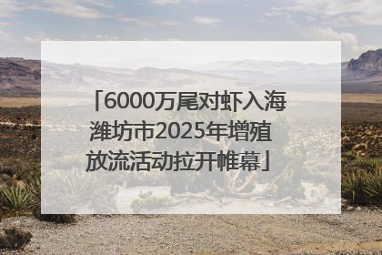 6000万尾对虾入海 潍坊市2025年增殖放流活动拉开帷幕