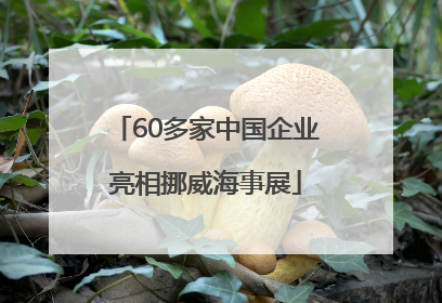 60多家中国企业亮相挪威海事展