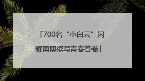700名“小白云”闪耀南博续写青春答卷