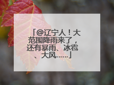 @辽宁人！大范围降雨来了，还有暴雨、冰雹、大风……